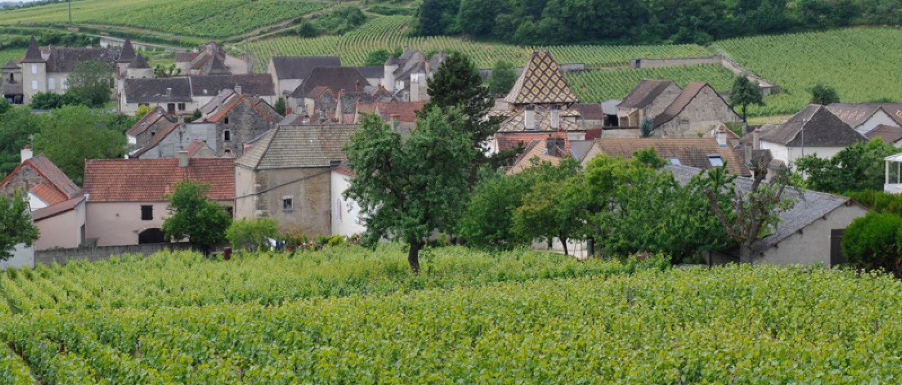 Domaine Bachey Legros