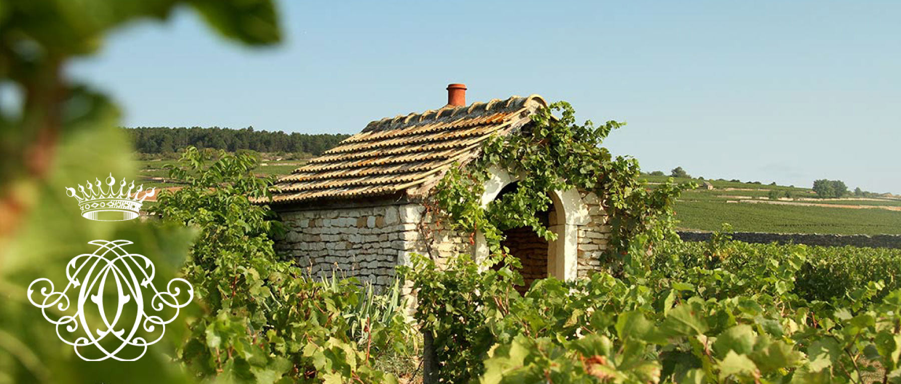 Domaine Comte Armand
