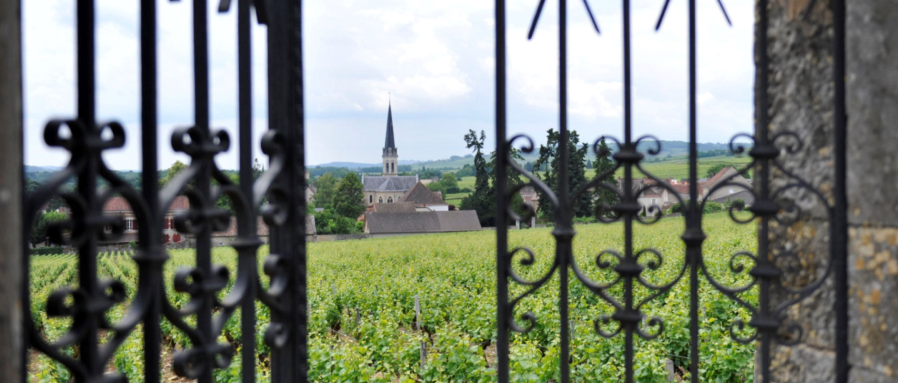 Domaine Bachey Legros