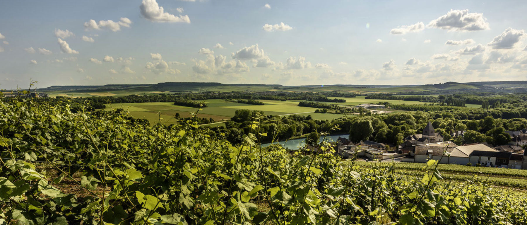 Domaine Billecart Salmon