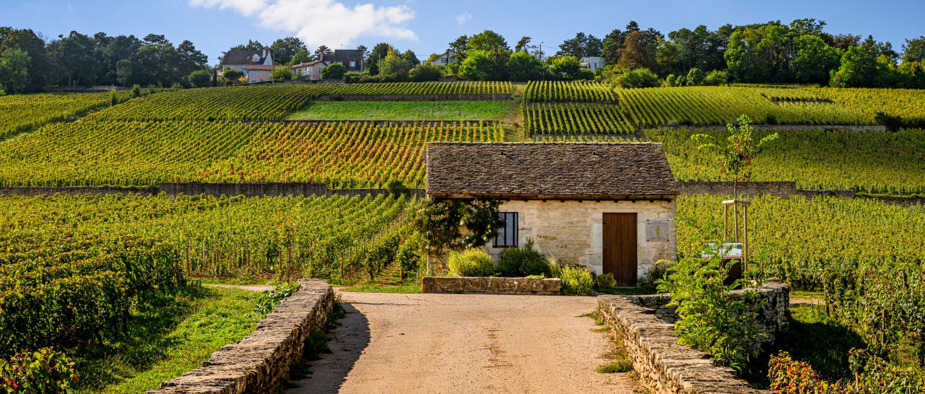 Domaine Bouchard Pere & Fils