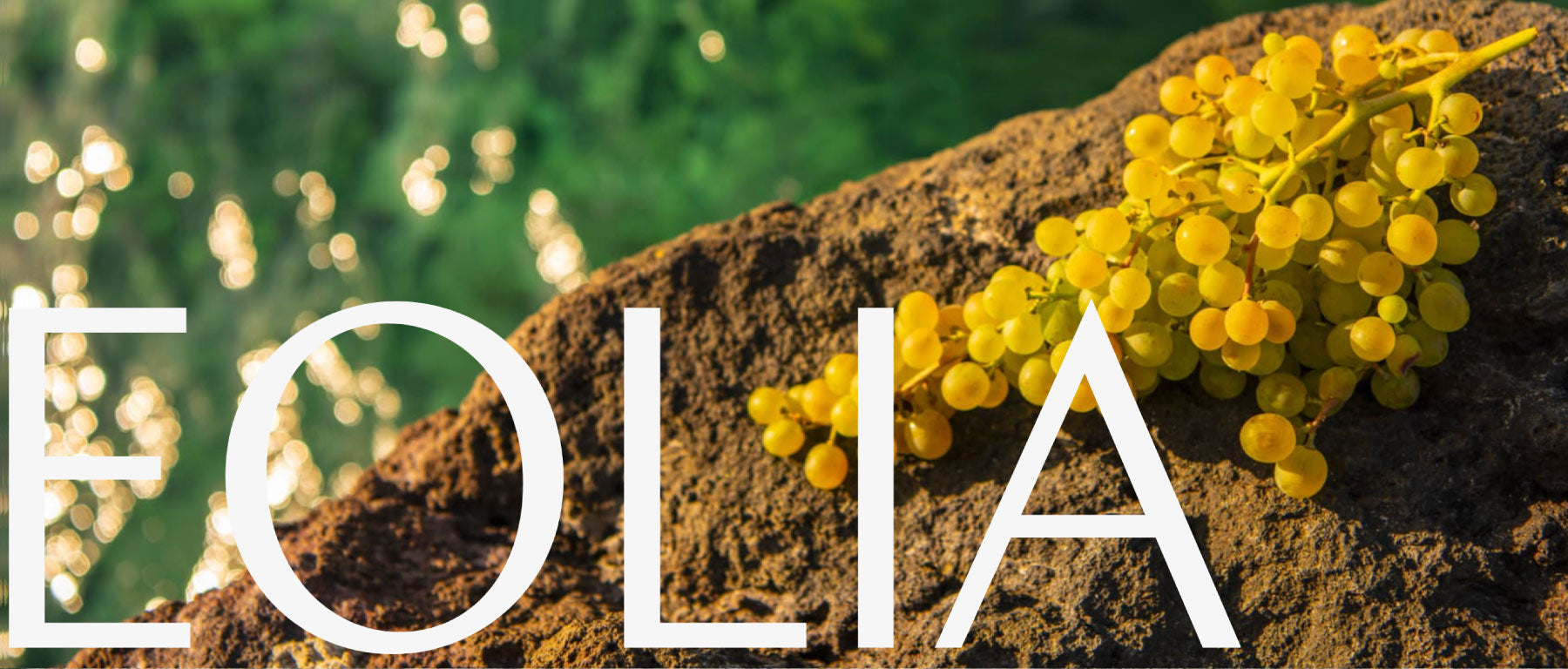 Domaine Eolia
