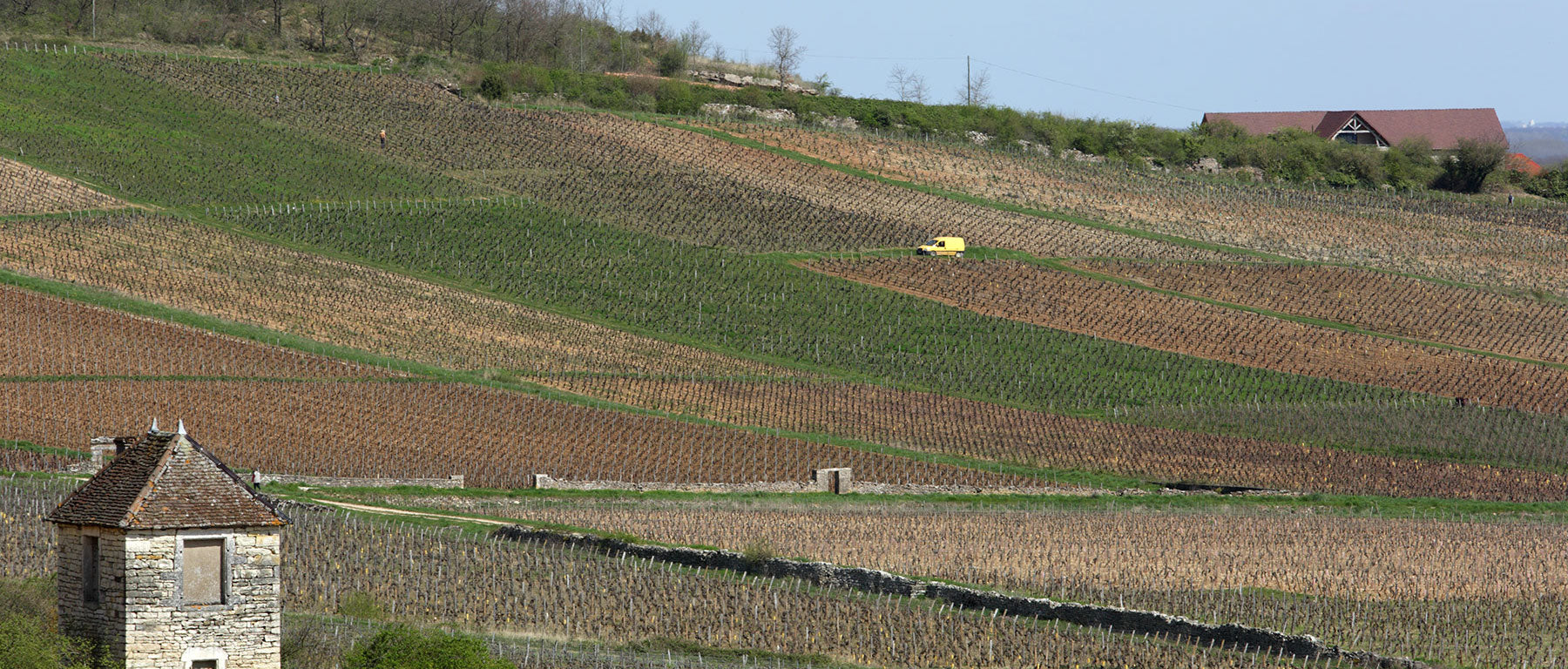 Domaine Joblot