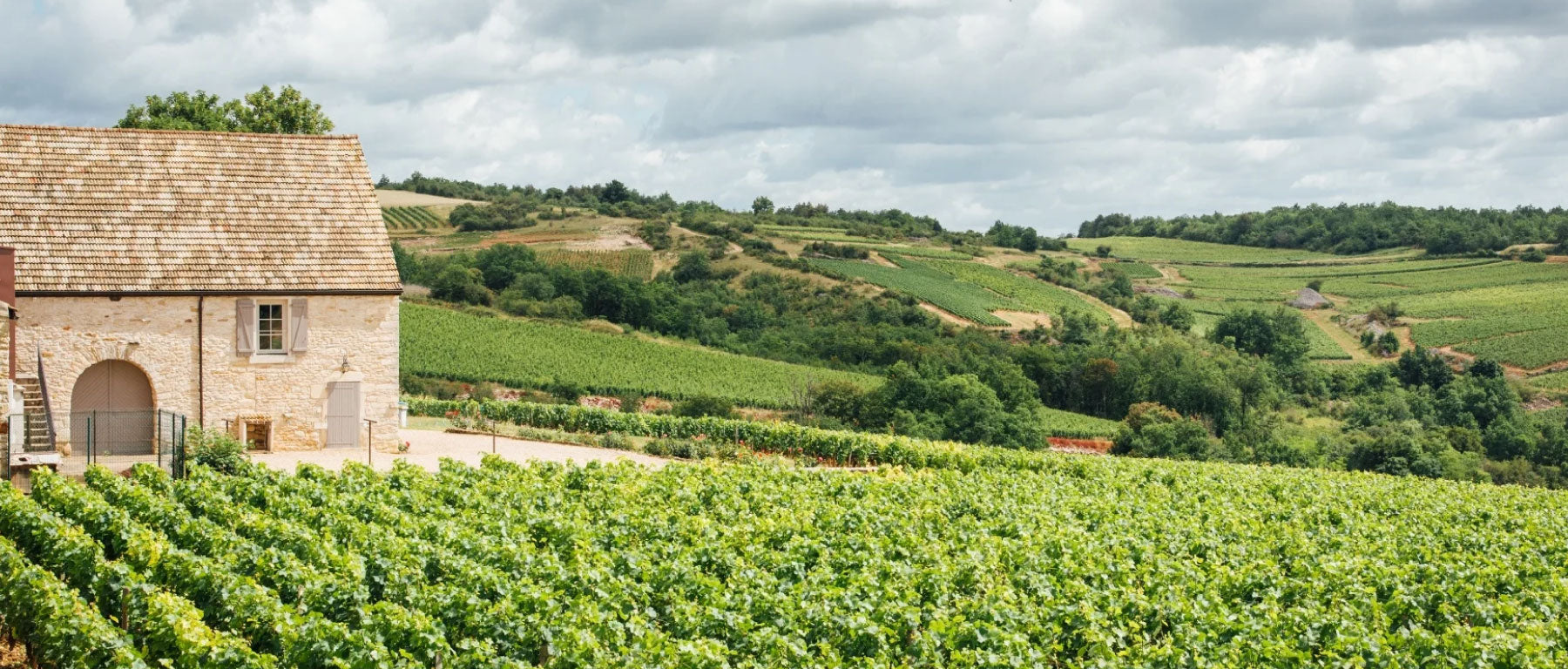 Domaine Jomain