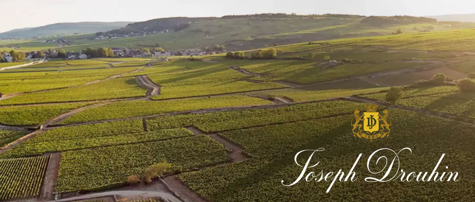 Domaine Joseph Drouhin