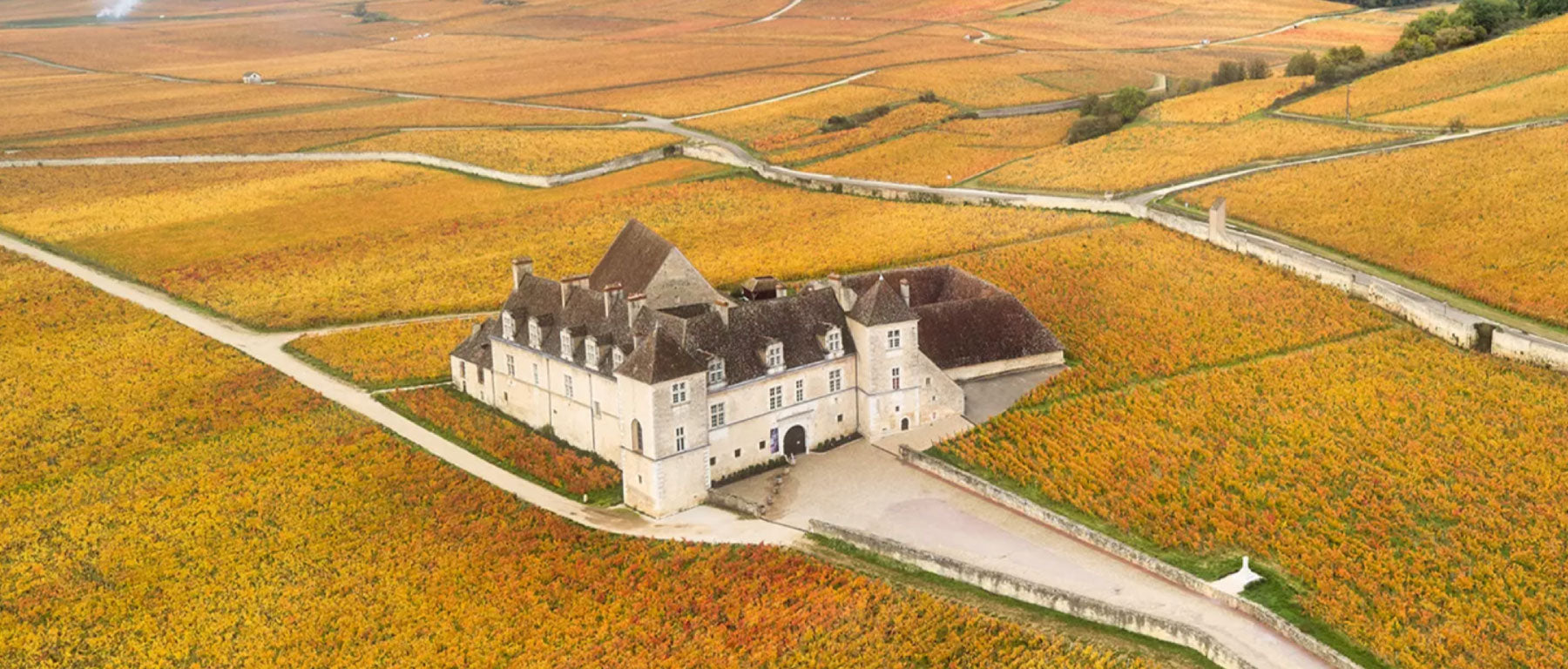 Domaine Joseph Drouhin
