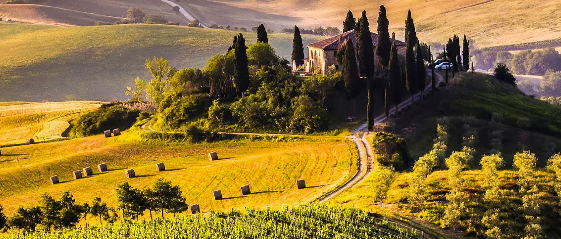 Domaine Fattoria Il Pupille