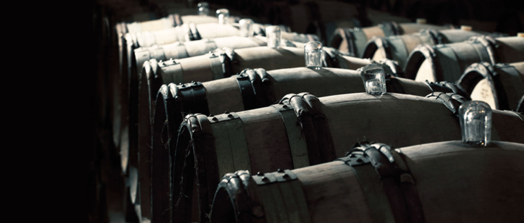 William Fevre winery
