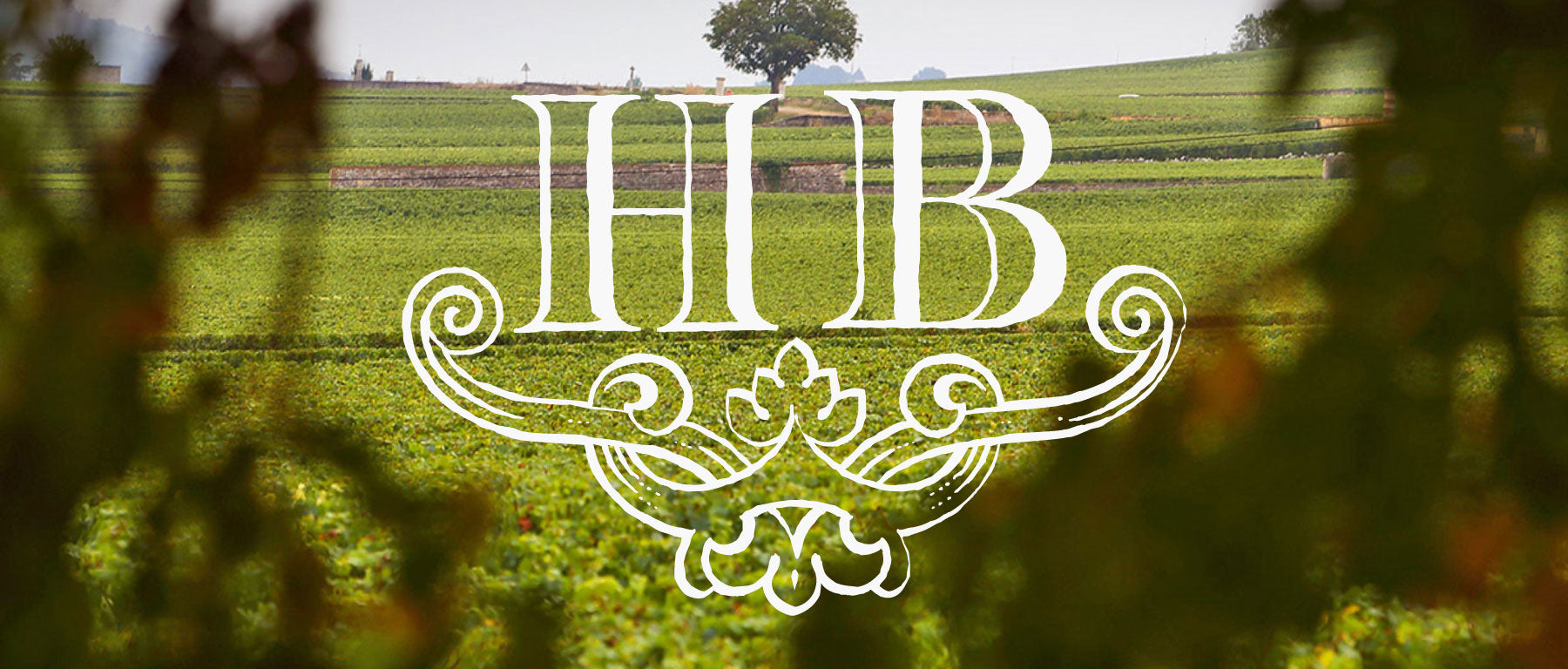 Domaine Henri Boillot