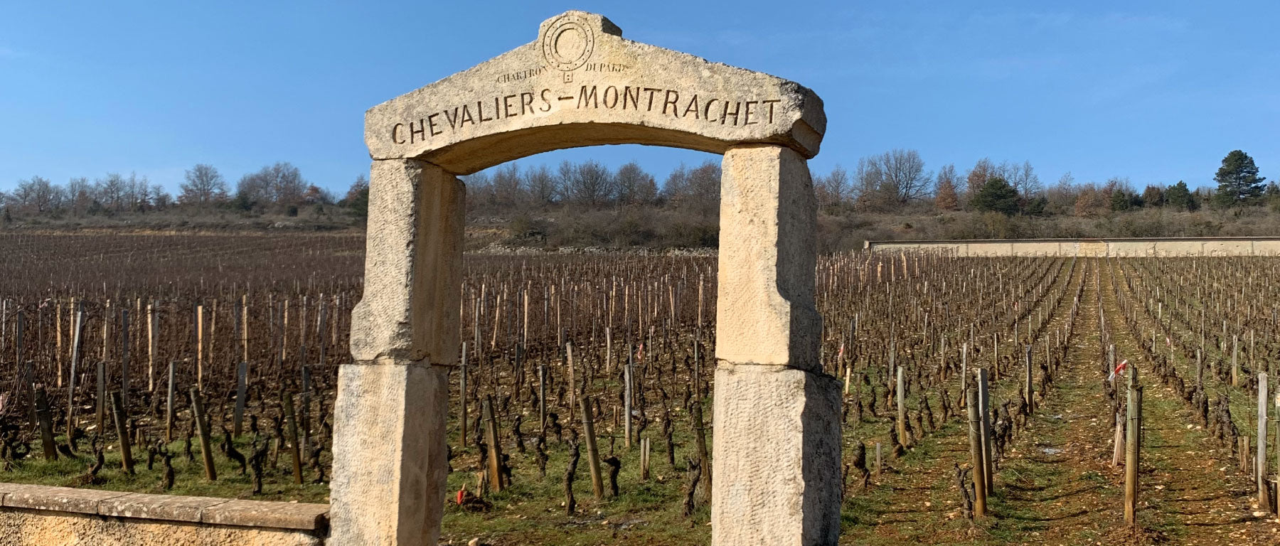 Jean Chartron Puligny Montrachet