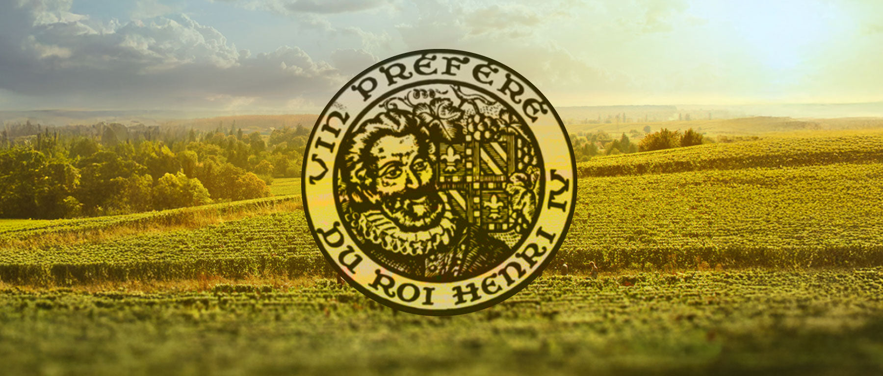 JOBLOT vineyard