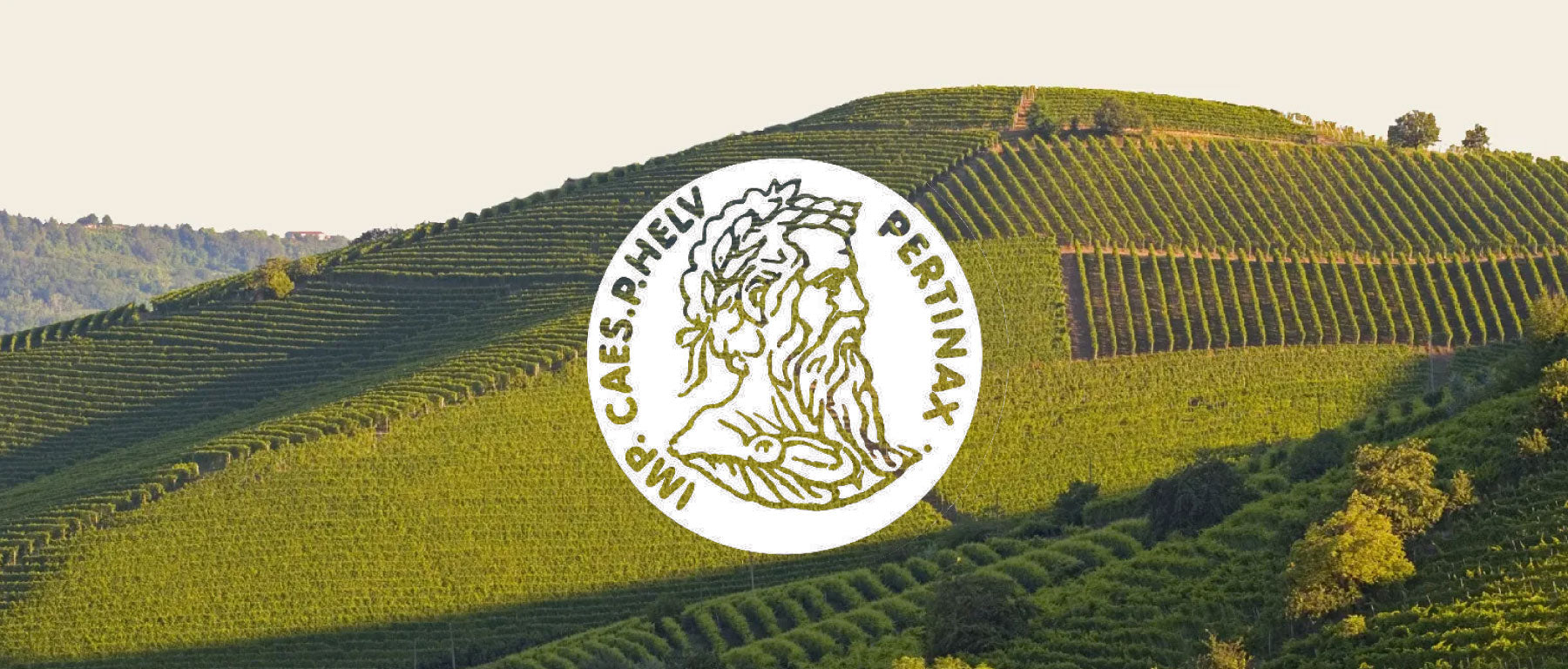 Produttori del Barbaresco - Wineyards