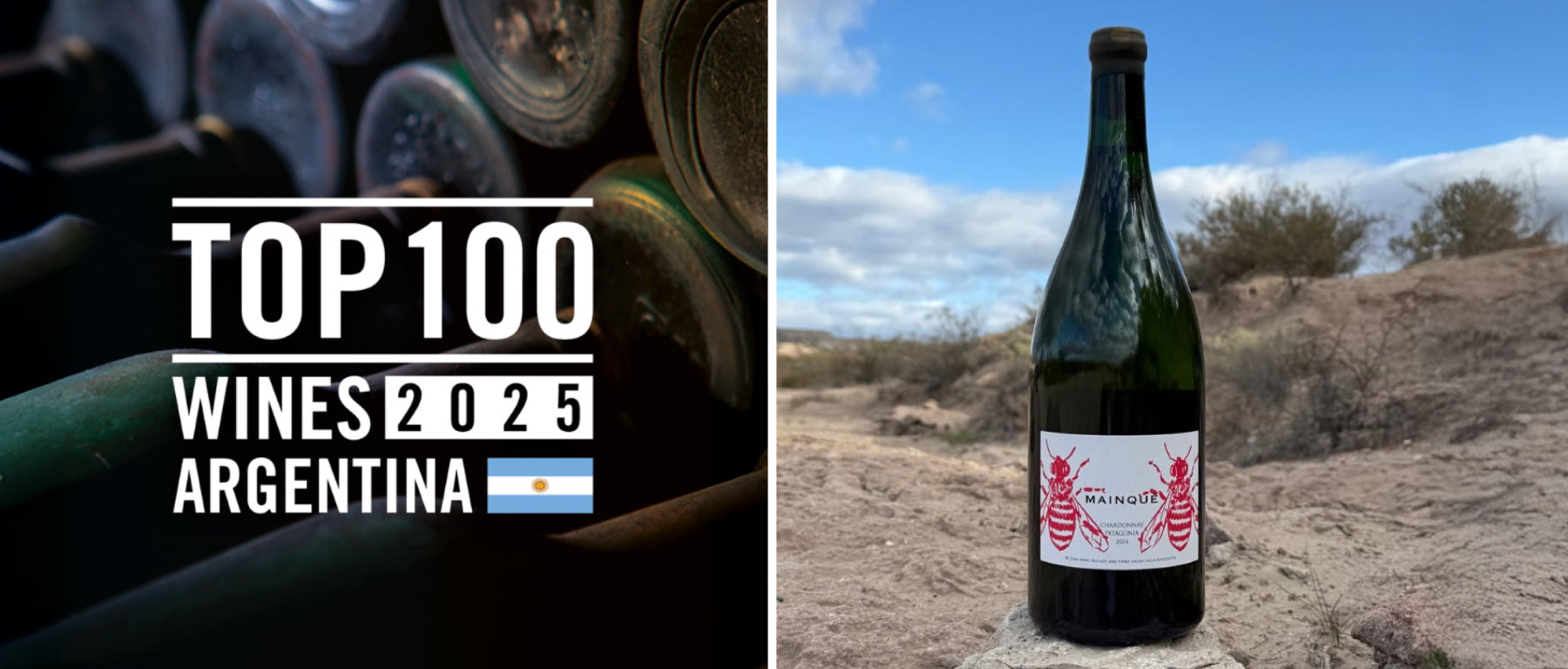 TOP 100 ARGENTINA