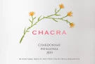 2022 Chacra Patagonia Chardonnay