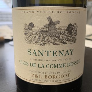 2019 Borgeot Santenay Clos de la Comme Dessus