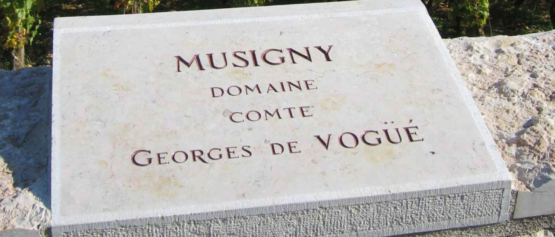 Domaine Comte Georges de Vogüé