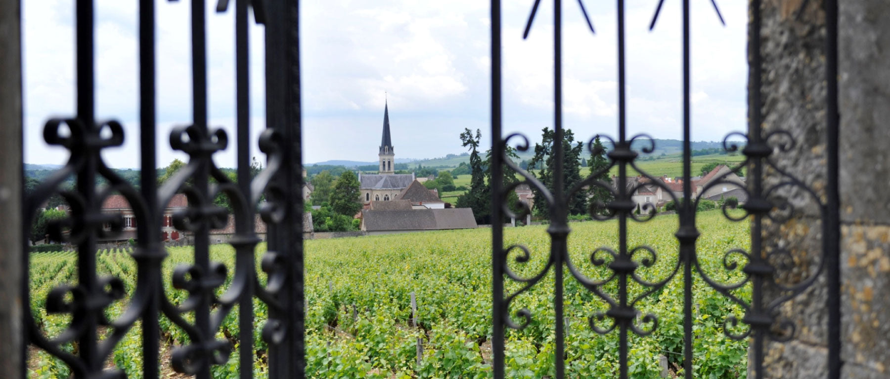  Domaine Bachey Legros