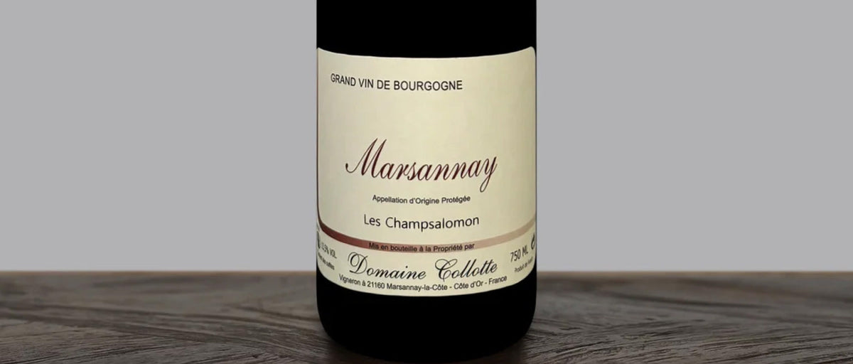 Domaine Collotte Marsannay “Les Champsalomon” 2023