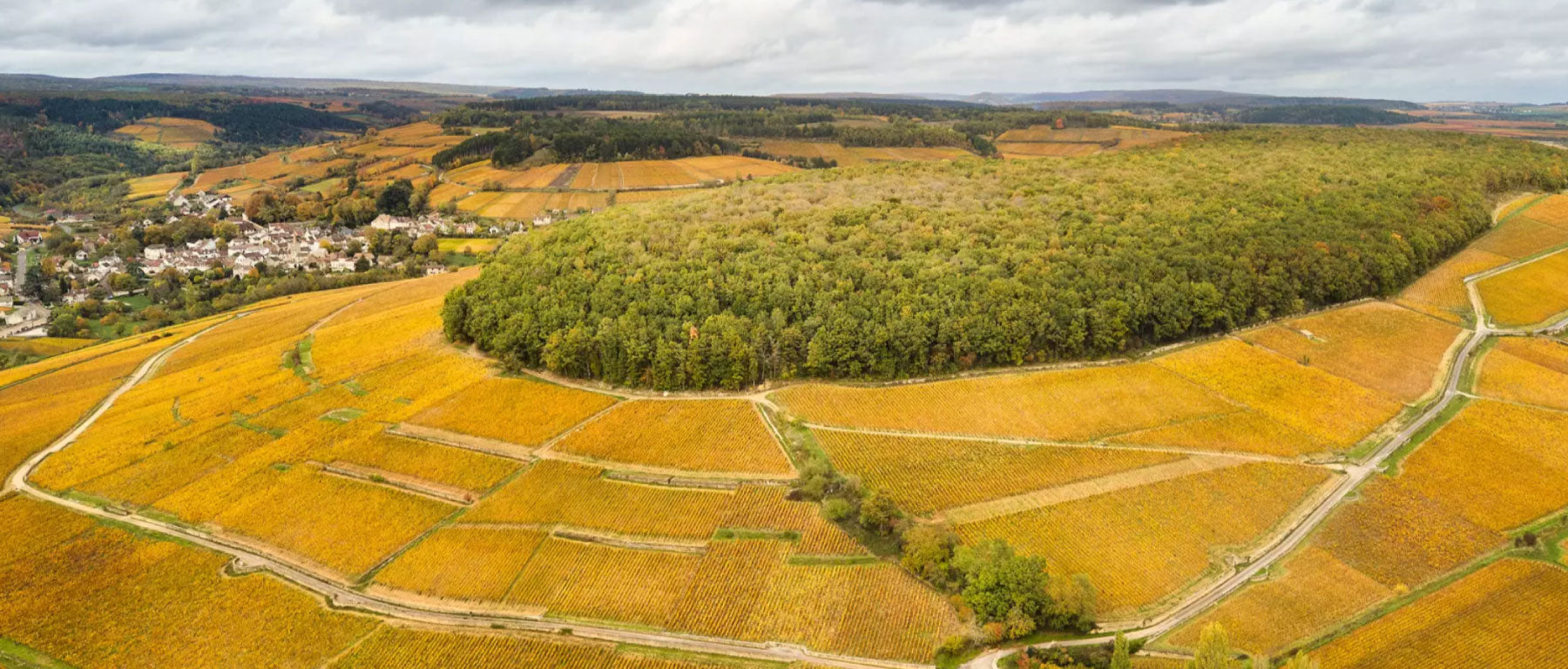 Domaine Joseph Drouhin 