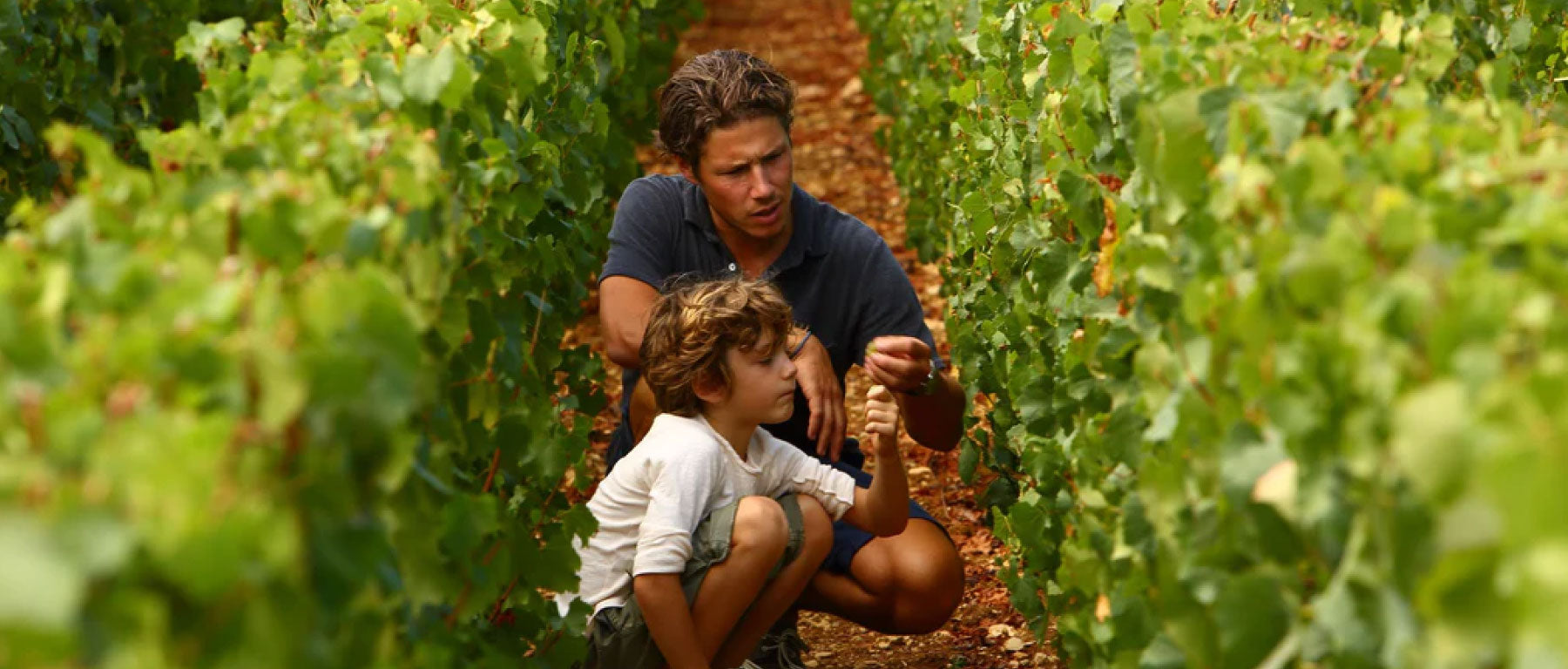 Domaine Henri Boillot