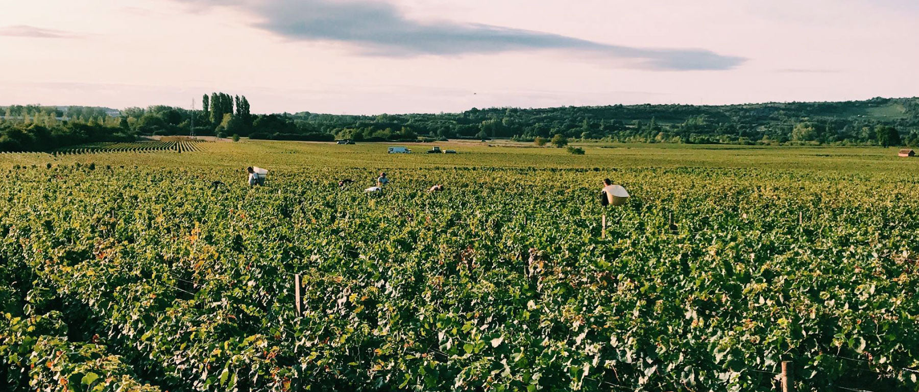 Domaine Jean Charles Fagot