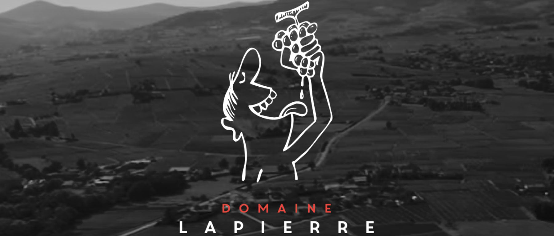 Domaine Lapierre