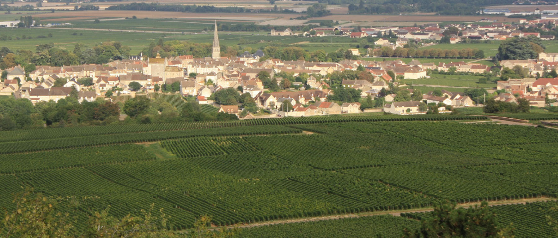 Domaine Latour Giraud