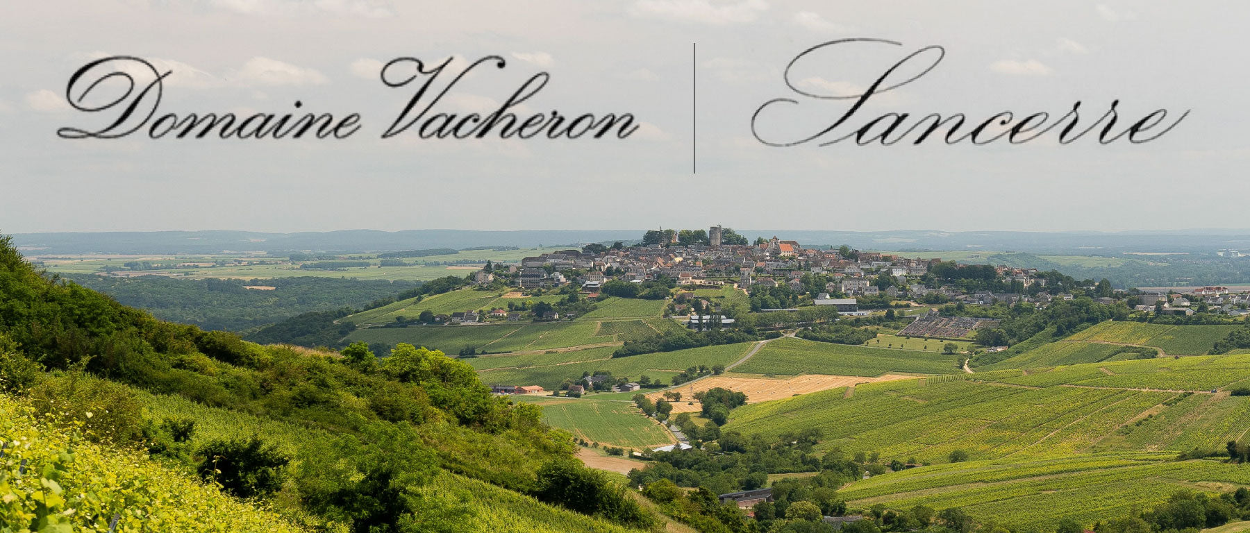 Domaine Vacheron - Sancerre