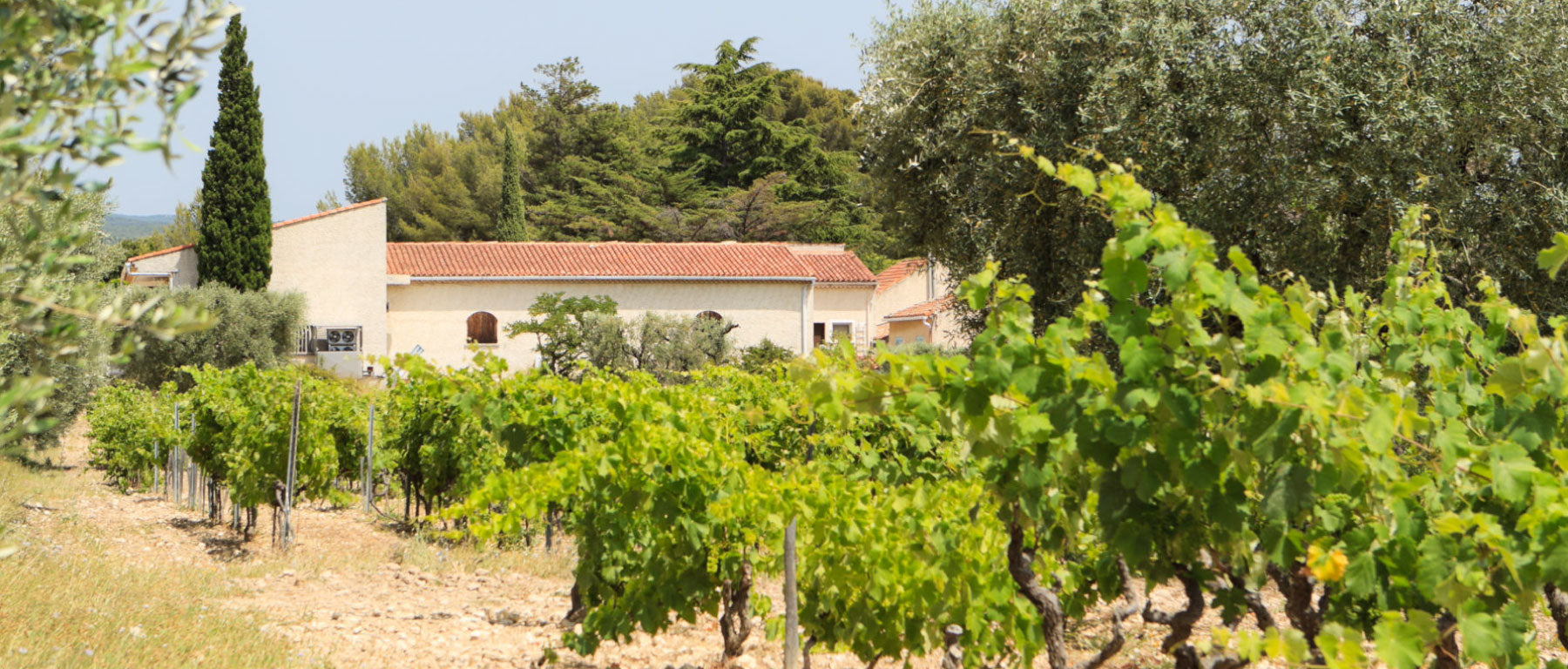 Domaine La Bastide Blanche