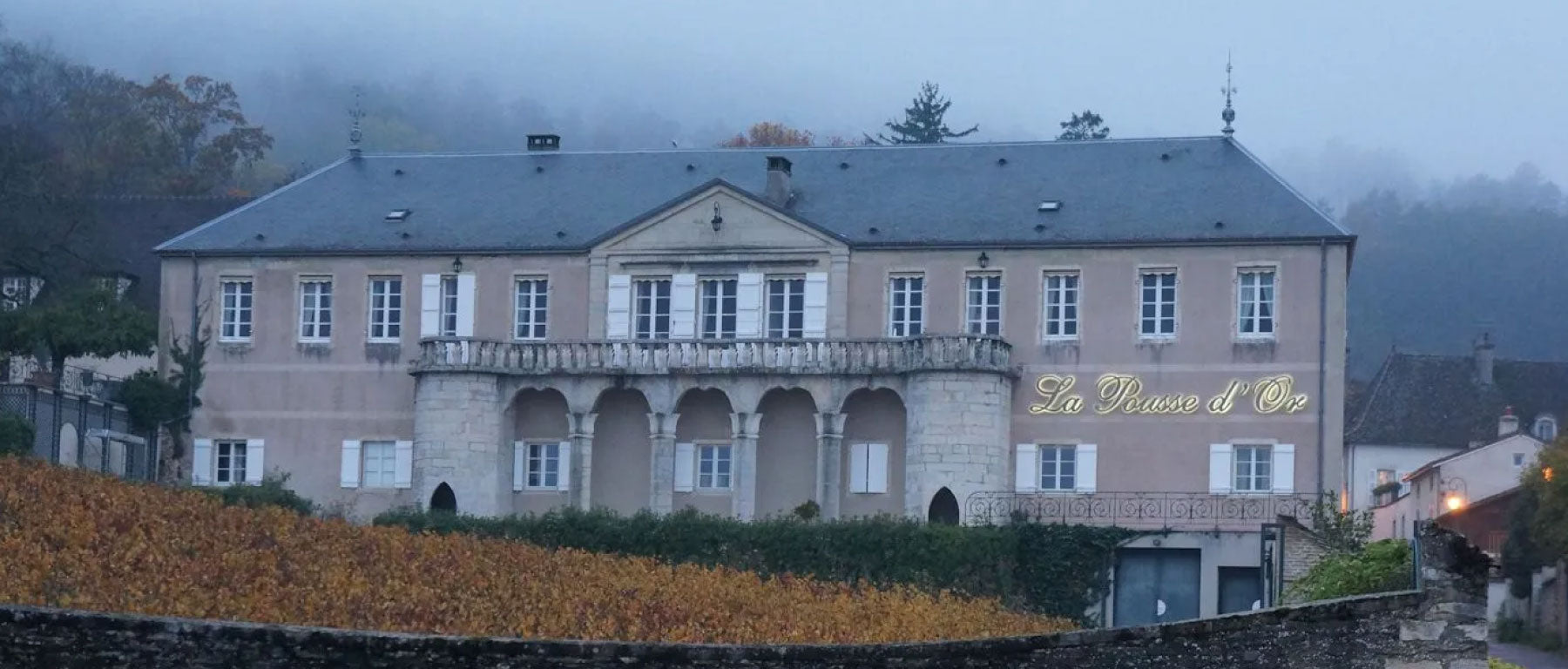 Domaine La Pousse D' Or