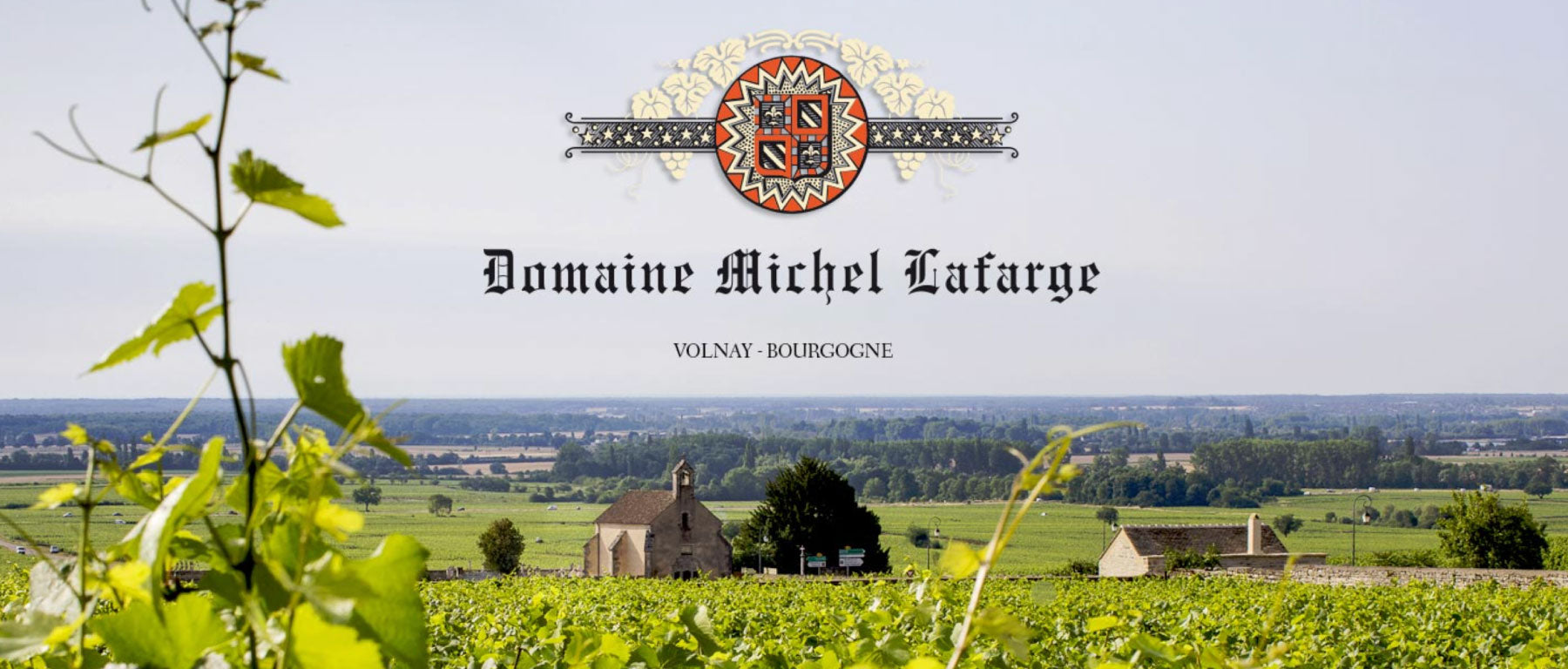 Domaine Michael Lafarge