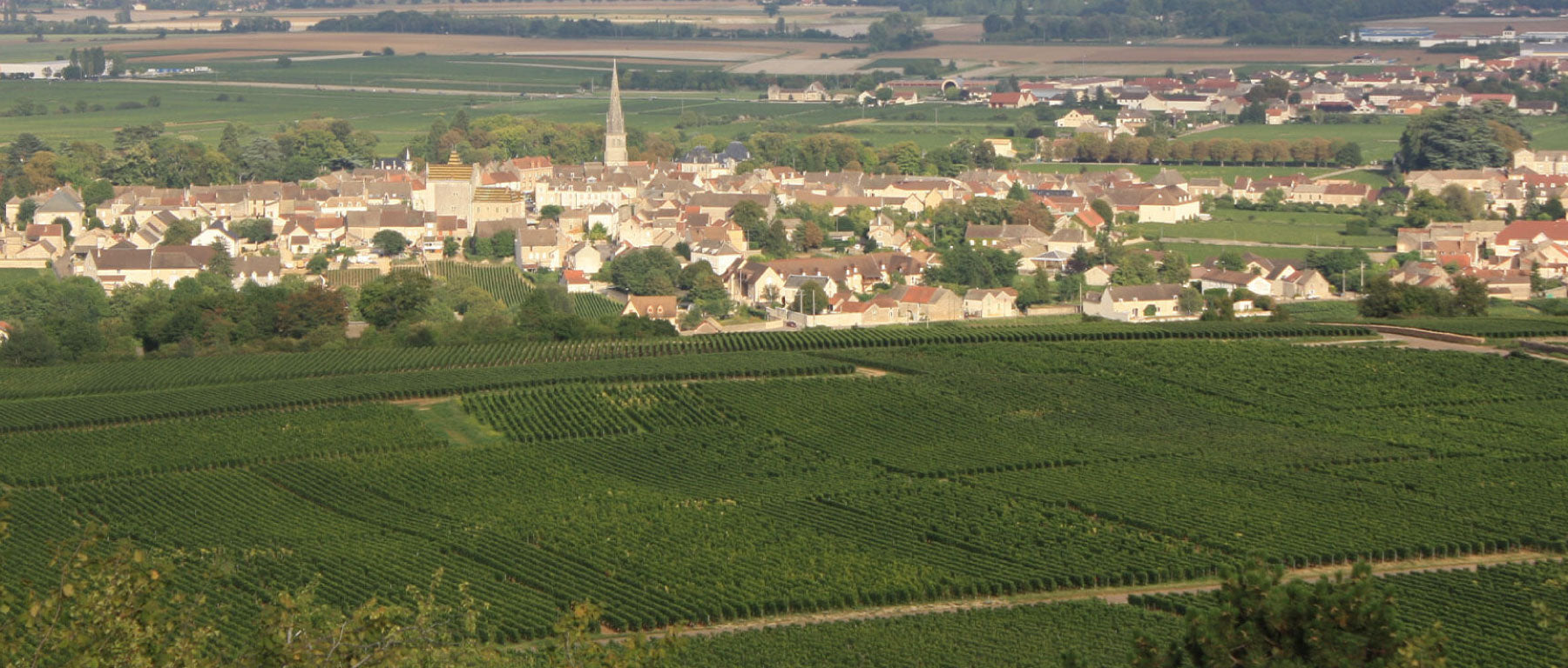 Domaine Latour Giraud 