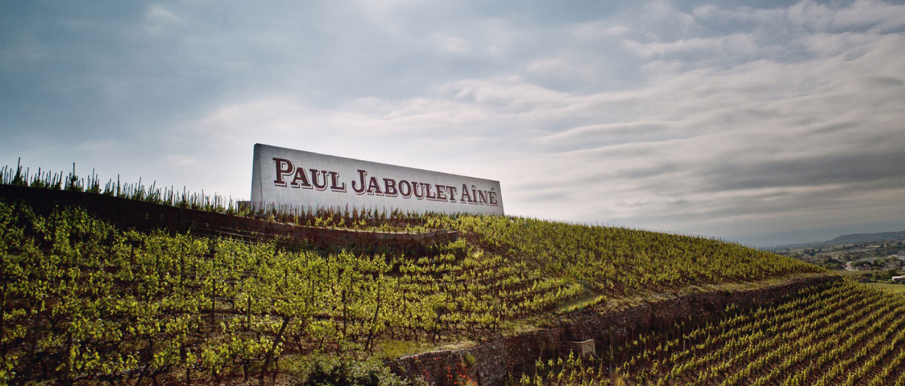 Paul Jaboulet Aine vineyards