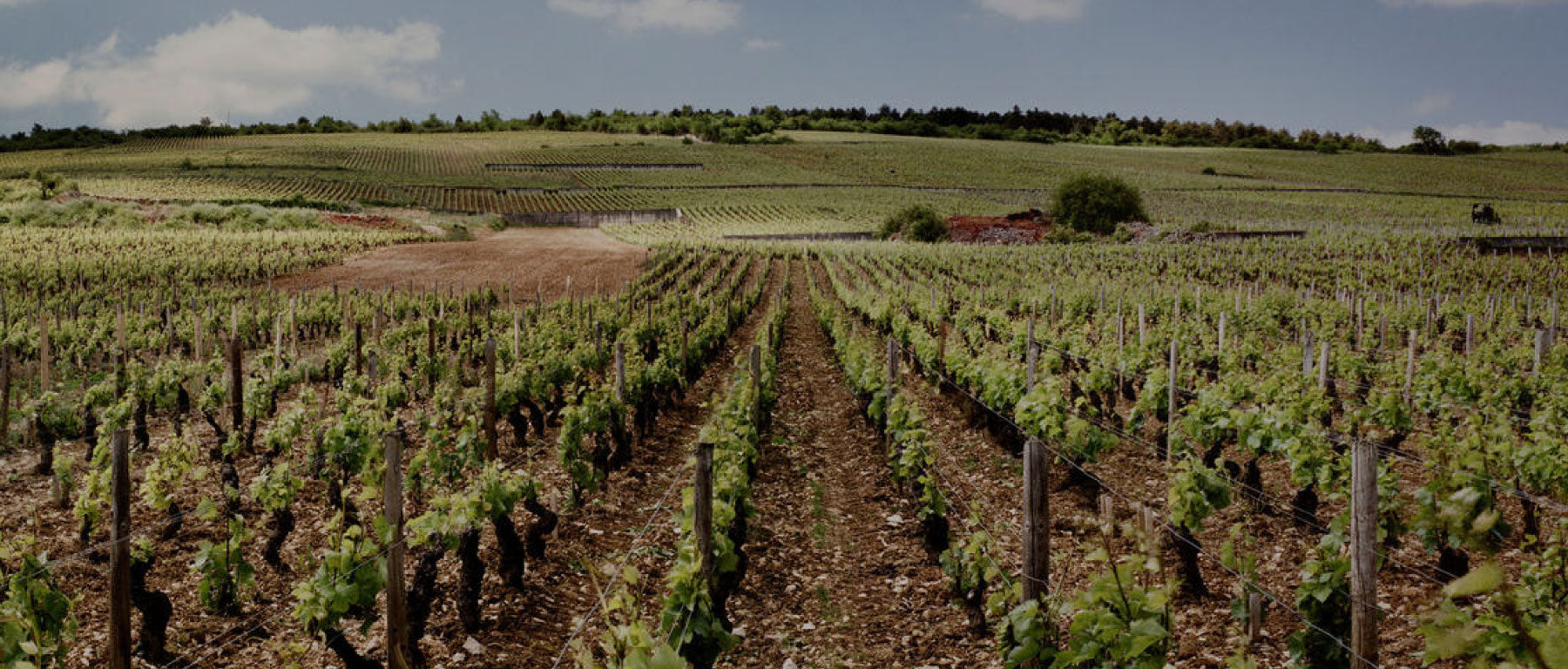 Domaine Bitouzet Prieur