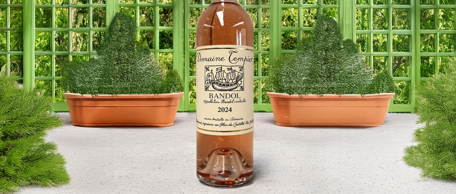 2024 Tempier Bandol Rosé