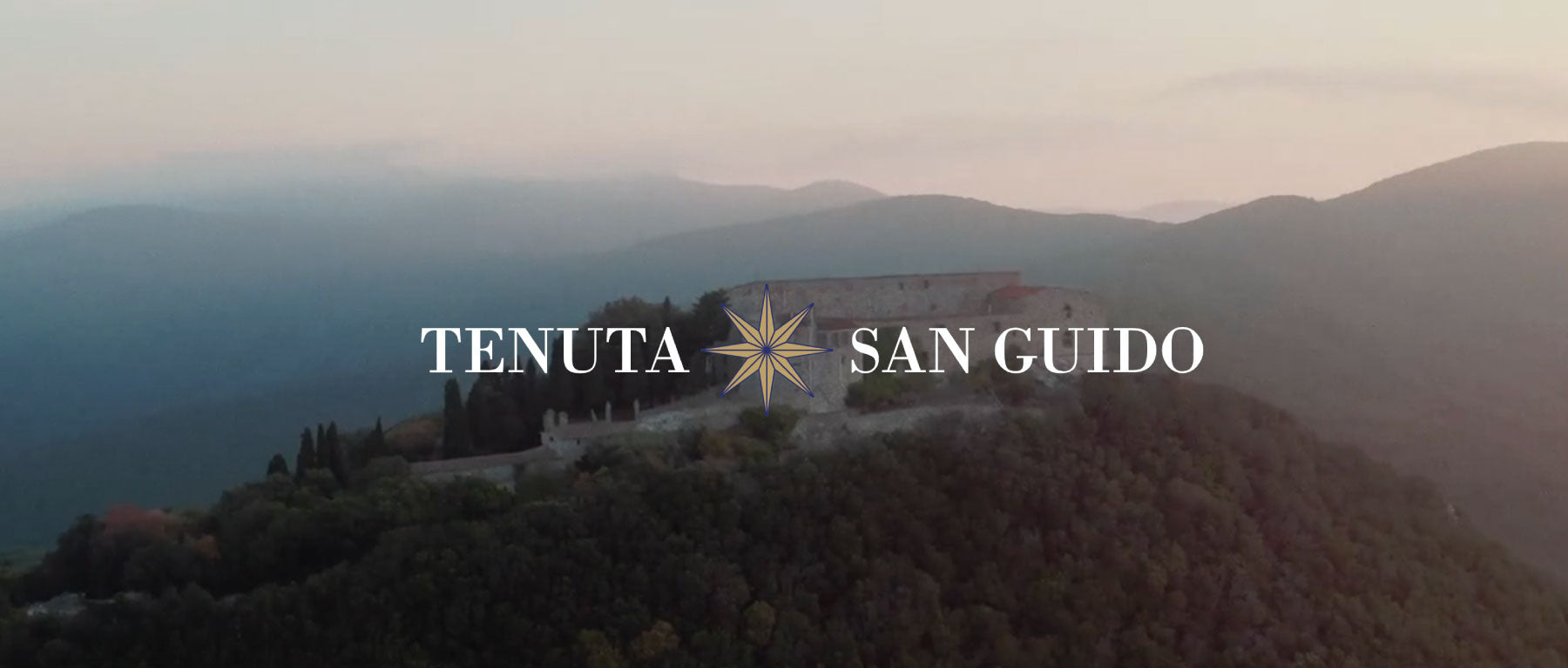 2021 Tenuta San Guido Guidalberto