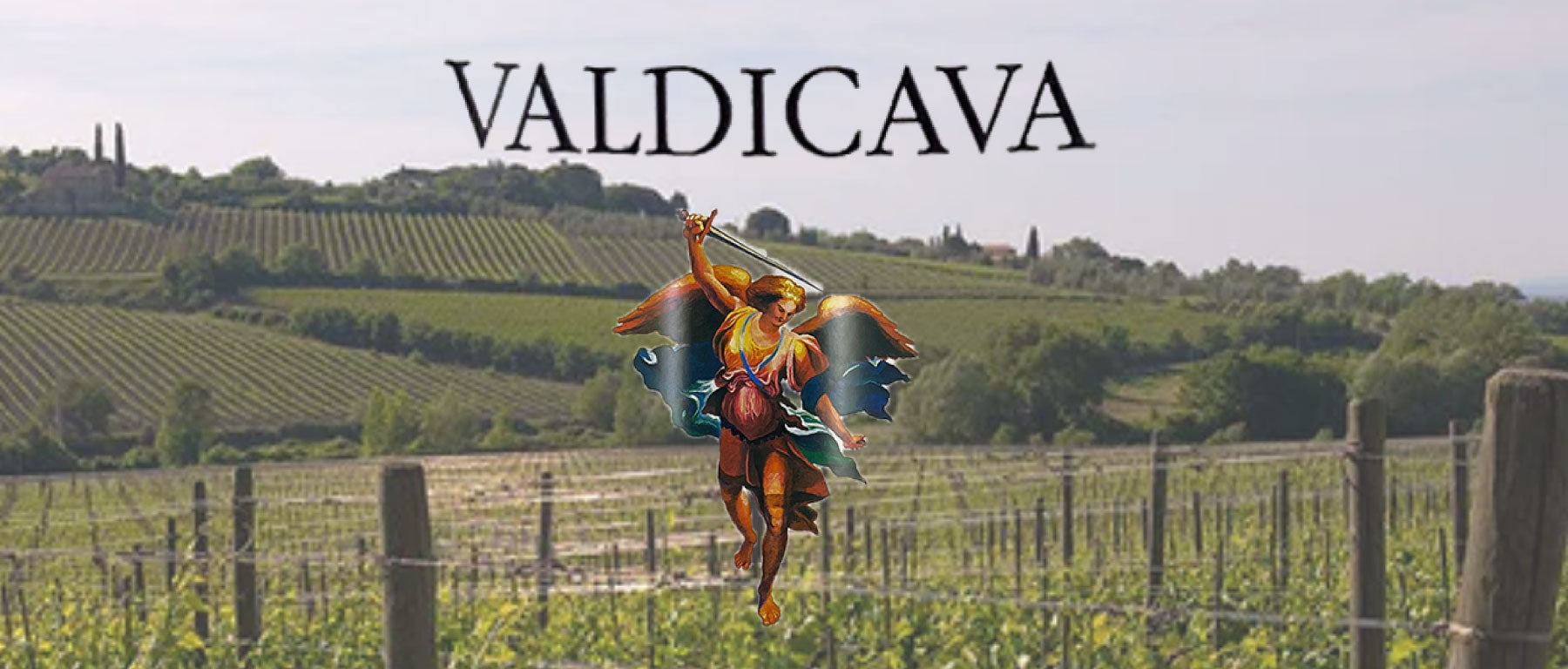 Domaine Valdicava