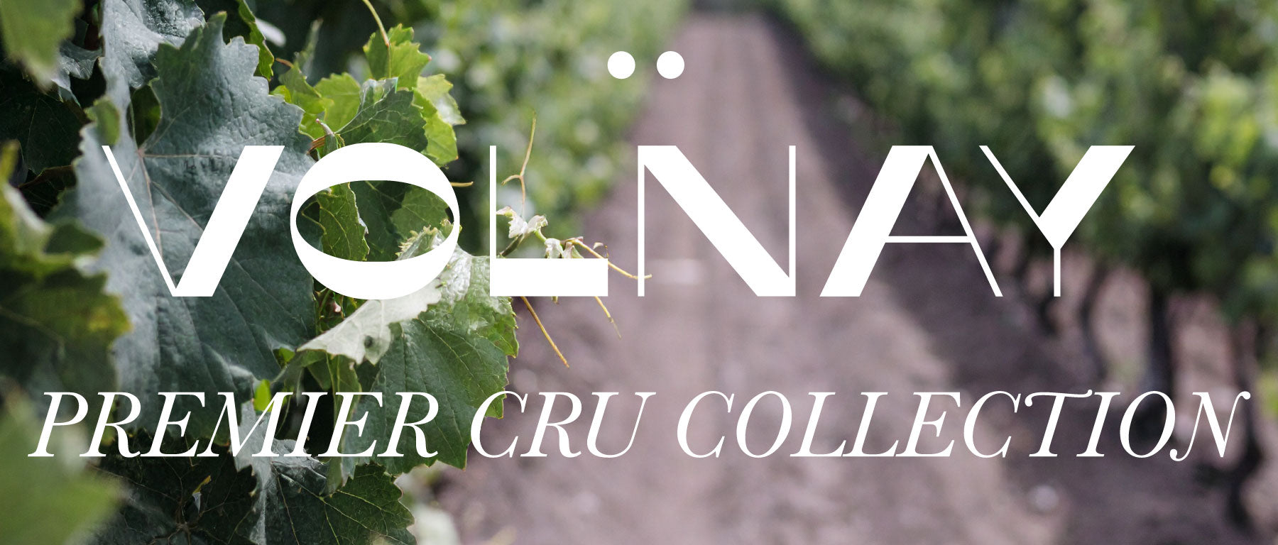 VOLNAY PREMIER CRU COLLECTION
