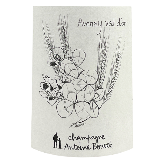 Antoine Bouvet Champagne Avenay-Val-d'Or Blanc de Blancs (R22)