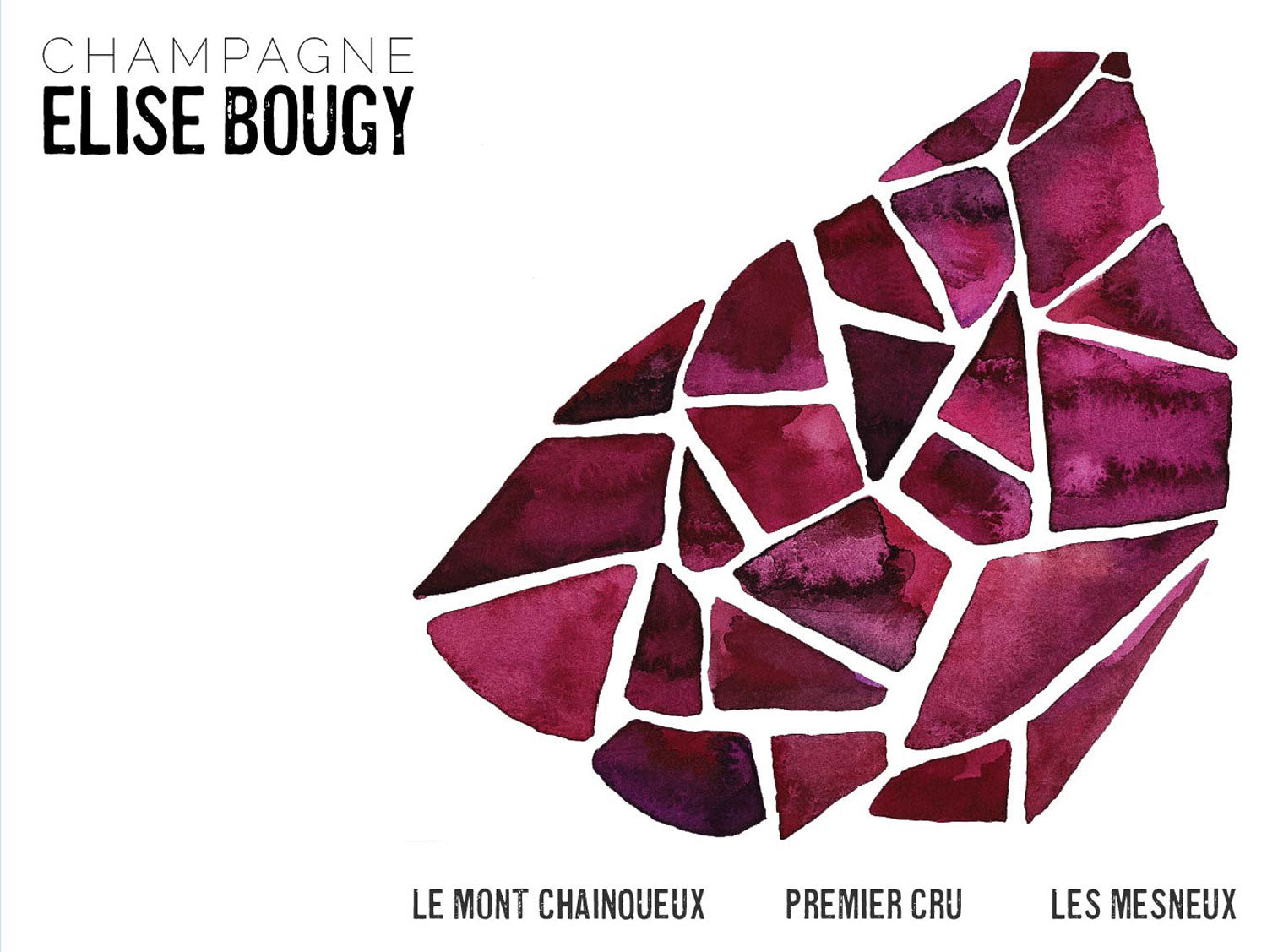 Elise Bougy Mont-Chainqueux 1er Blanc de Noirs (Base 2022)