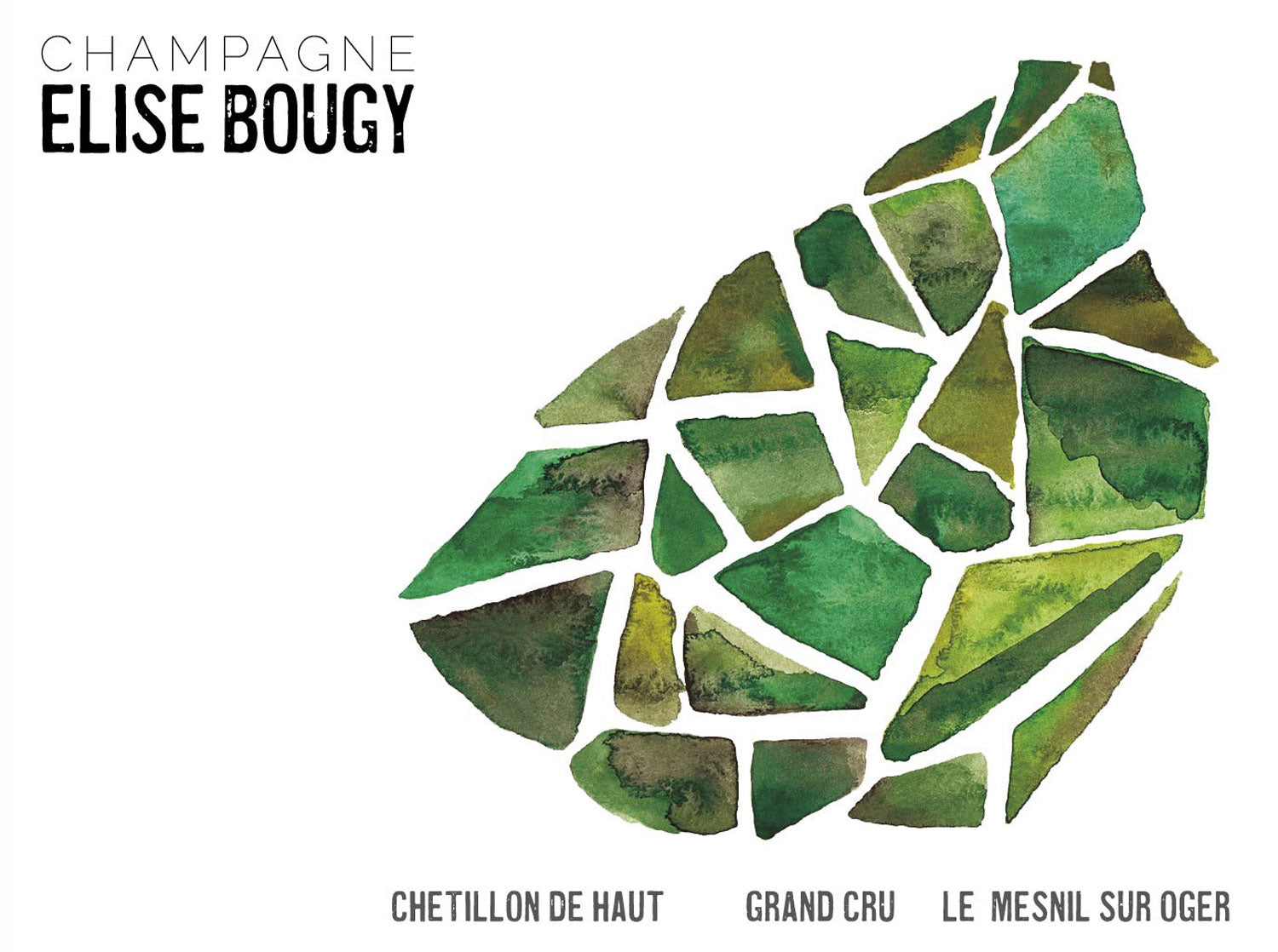 Elise Bougy Chetillon de Haut Grand Cru Blanc de Blancs Extra Brut (Base 2022)