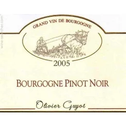 2005 Olivier Guyot Bourgogne Pinot Noir